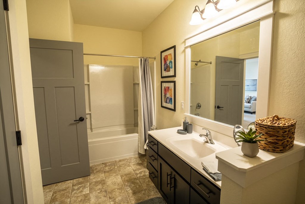 a bathroom with a sink and a shower and a mirror