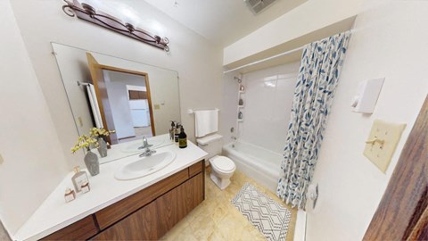 a bathroom with a sink and a shower and a toilet