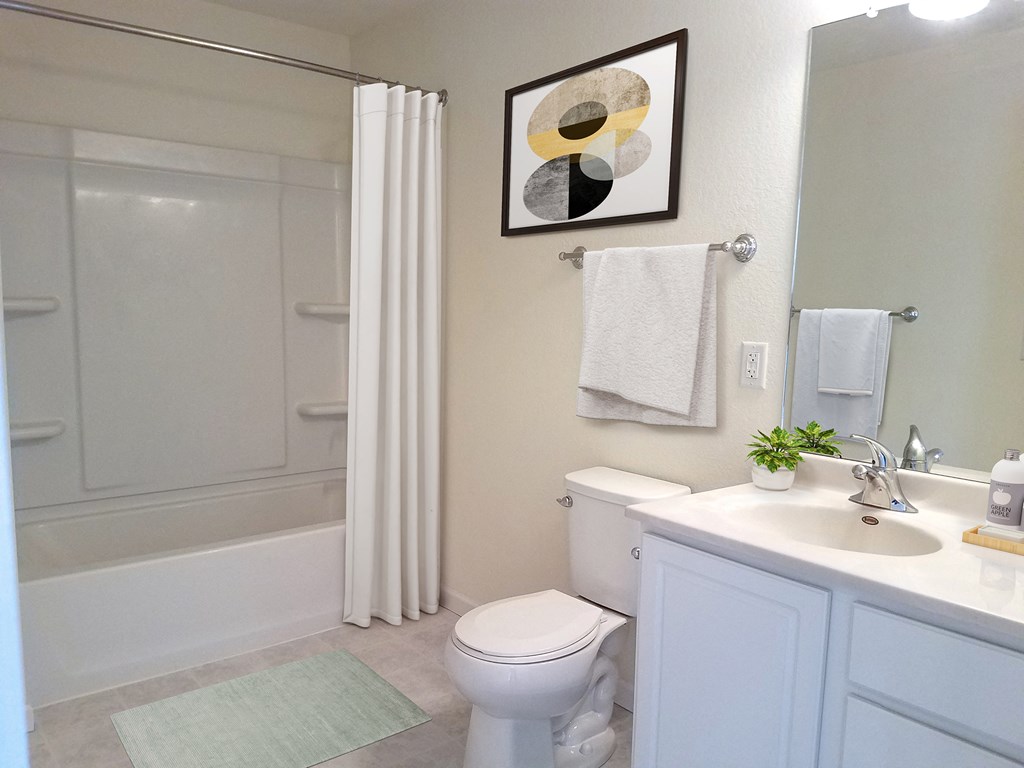 a bathroom with a shower toilet and sink and a mirror