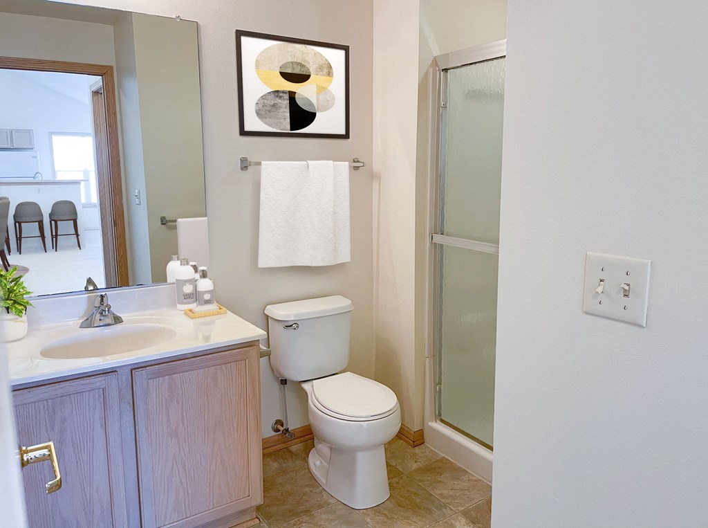 a bathroom with a sink toilet and a shower