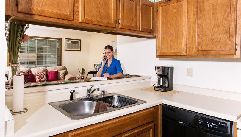 Snack bar, Fully equipped kitchen, dishwasher