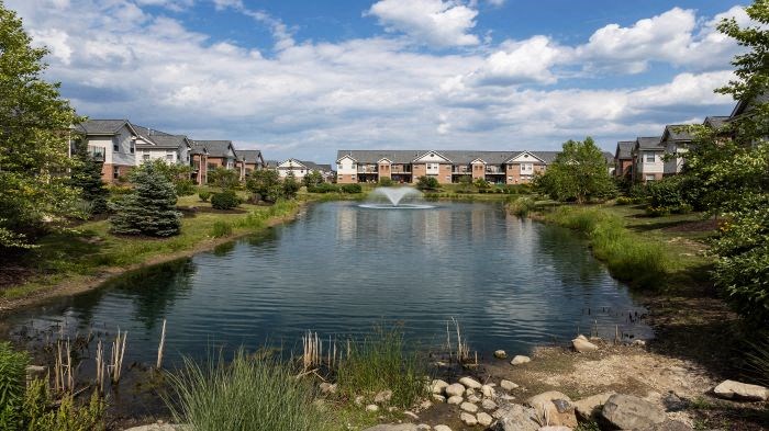 a pond with a fountain in the middle of it