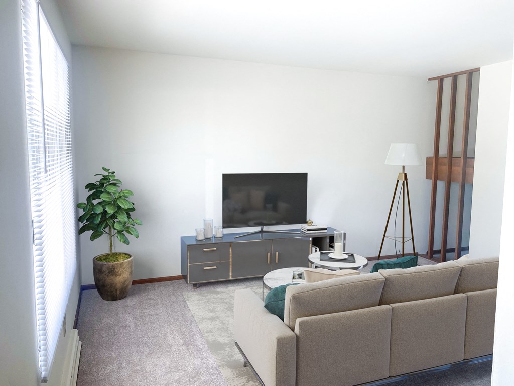 a living room with a couch and a television