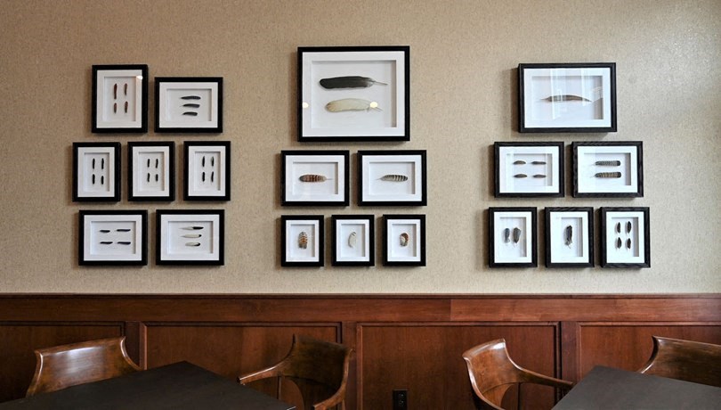 a wall of framed pictures on a wall above a table