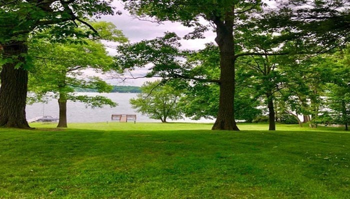 a park with trees and a bench overlooking a body of water