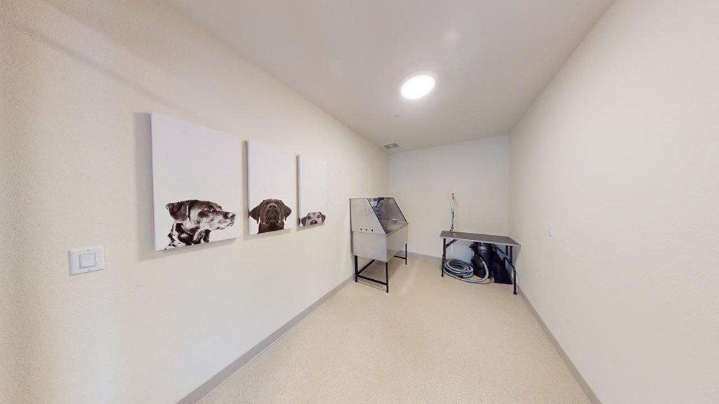 A room with a white wall and a picture of a dog hanging on it.