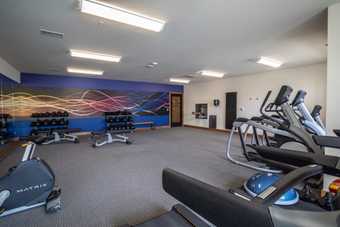 A gym with a blue wall and a row of treadmills.