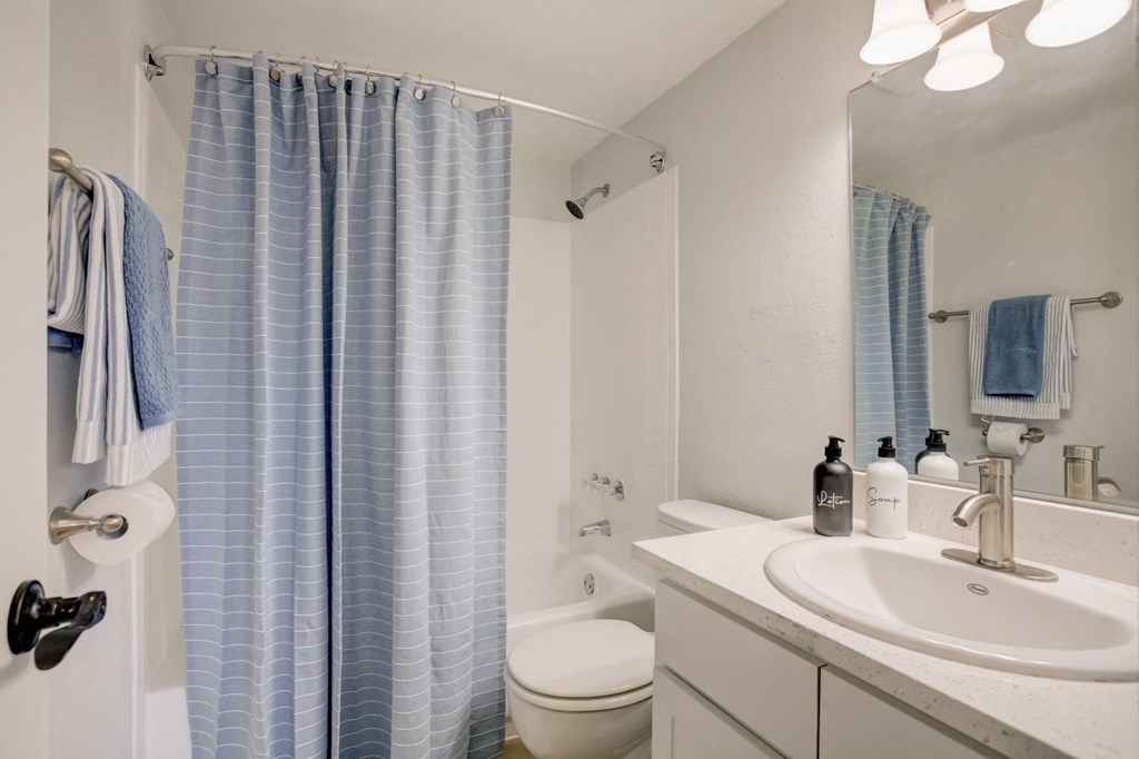 Renovated Bathroom at Captiva Club Apartments at 4401 Club Captiva Drive in Tampa, FL 33615
