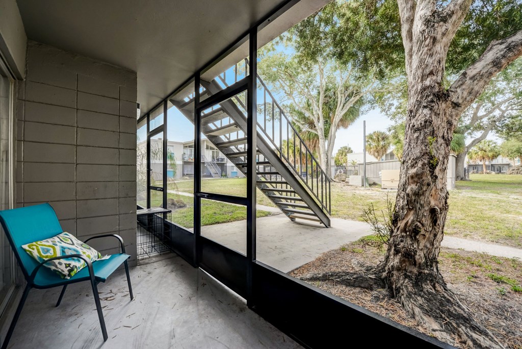 a patio area with a tree and a glass wall
