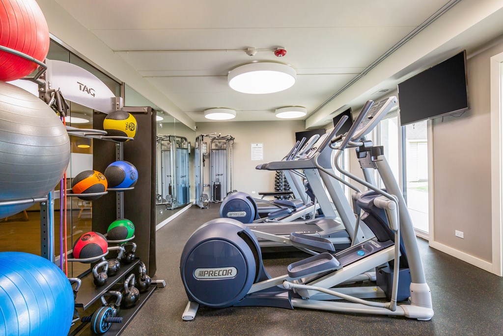 A gym with a row of treadmills and exercise balls.