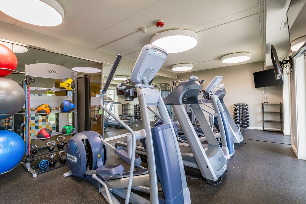 A gym with a treadmill, exercise balls and weights.
