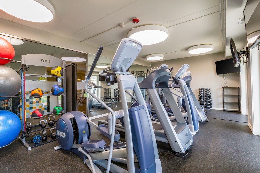 A gym with treadmills, exercise balls, and other equipment.