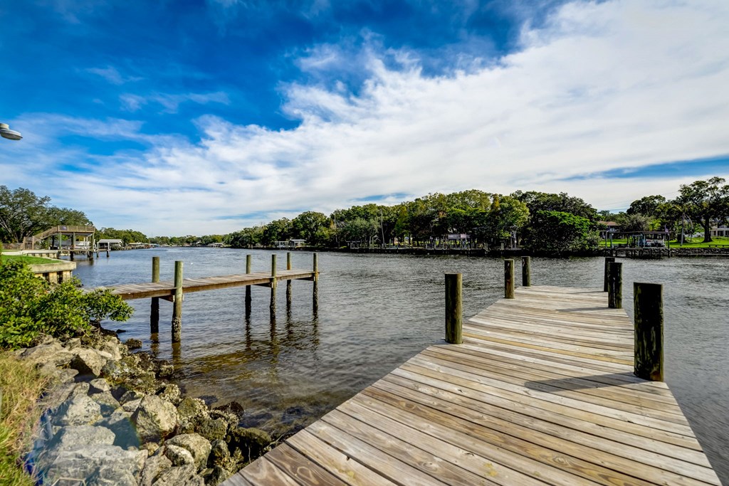 a dock on a body of water with trees