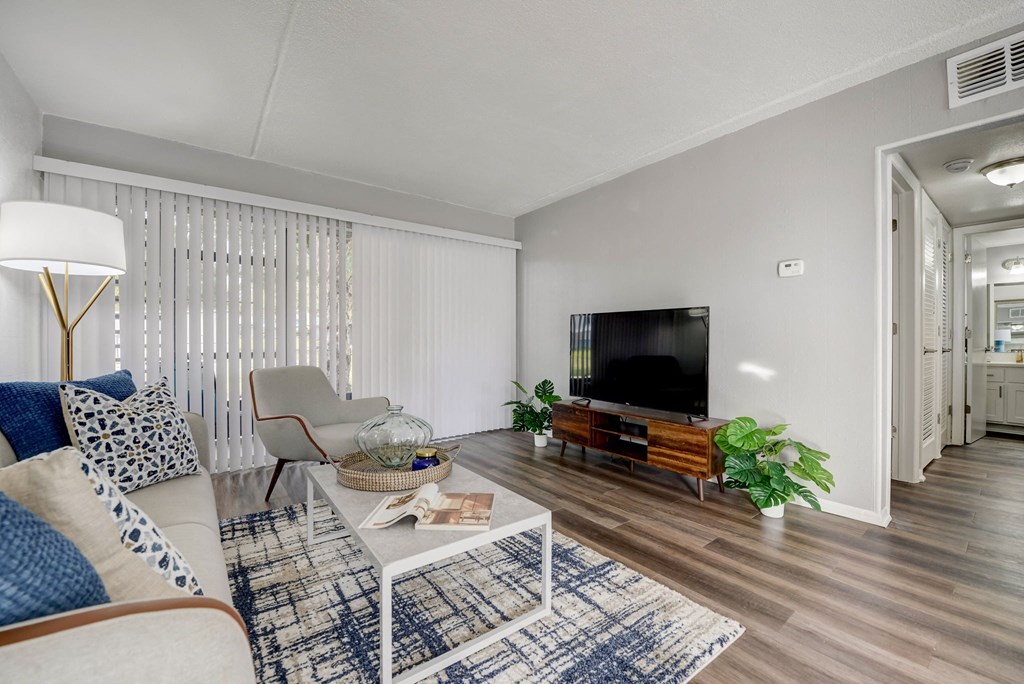 a living room with a couch and a coffee table and a television
