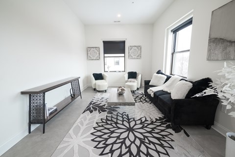 A black and white living room with a rug and a couch.