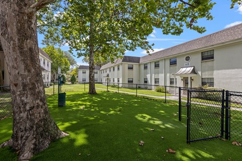 New Dog Park at The Flats at Seminole Heights, Tampa
