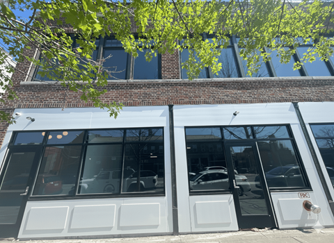 A building with a brick facade and large windows with a tree branch hanging over the windows.