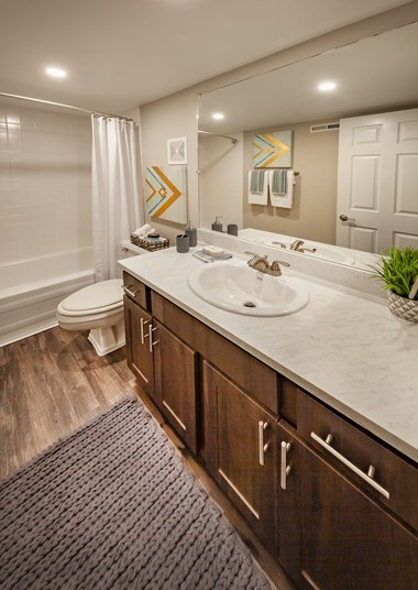 Bathroom at Castle Point Apartments, South Bend, 46637 - Photo Gallery 4