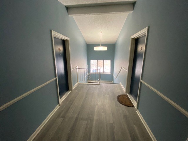 Renovated Hallway at  Lincoln Square Apartments at 4055 Knoll Drive in Hamburg, NY