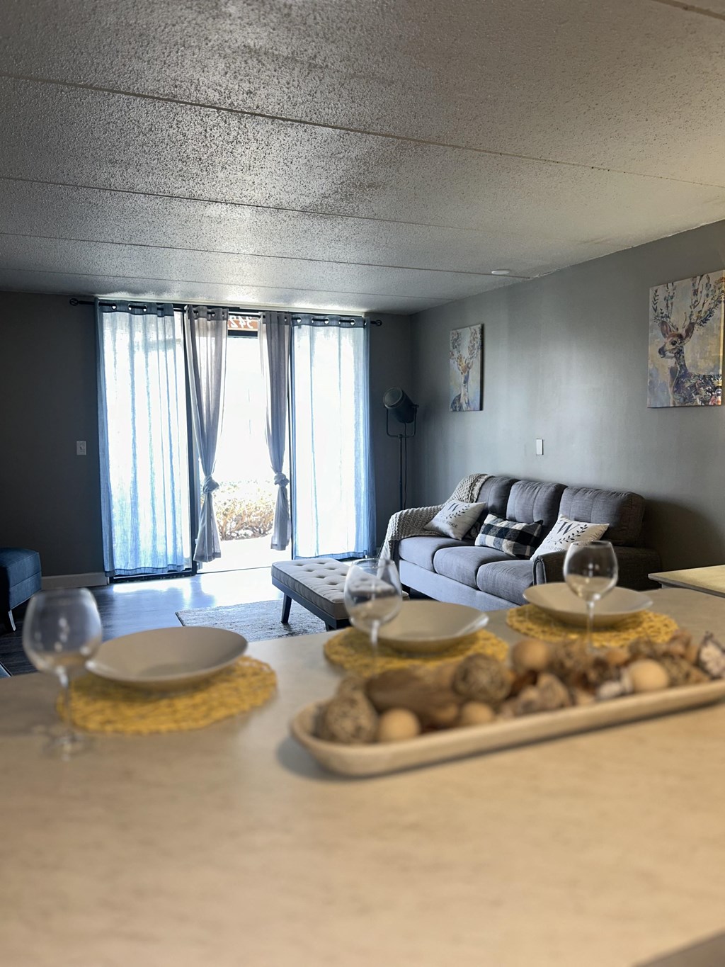 Living Room at Woodland Ridge, Woodridge, 60517