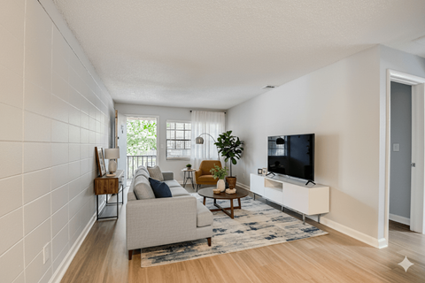 A living room with a grey couch, a wooden chair, a television, and a rug.