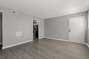 Vacant Living Room Vacant Living Room at The Flats at Seminole Heights, Tampa, FL, 33603 - Photo Gallery 5