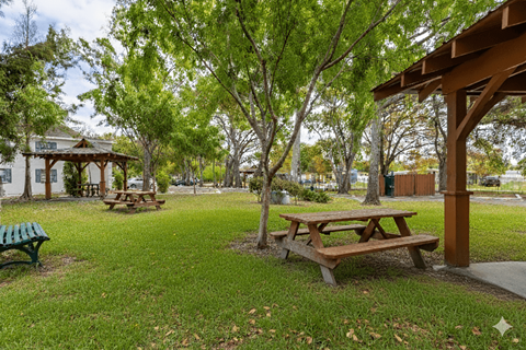 A wooden picnic table sits under a tree in a park.