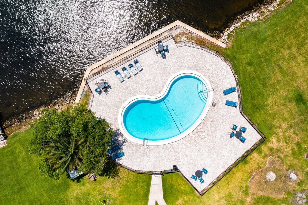 Swimming Pool at The Residences at Soho in Tampa, FL