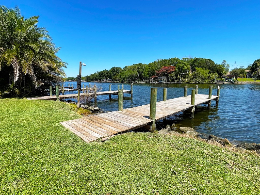a dock on a body of water with trees in the background
