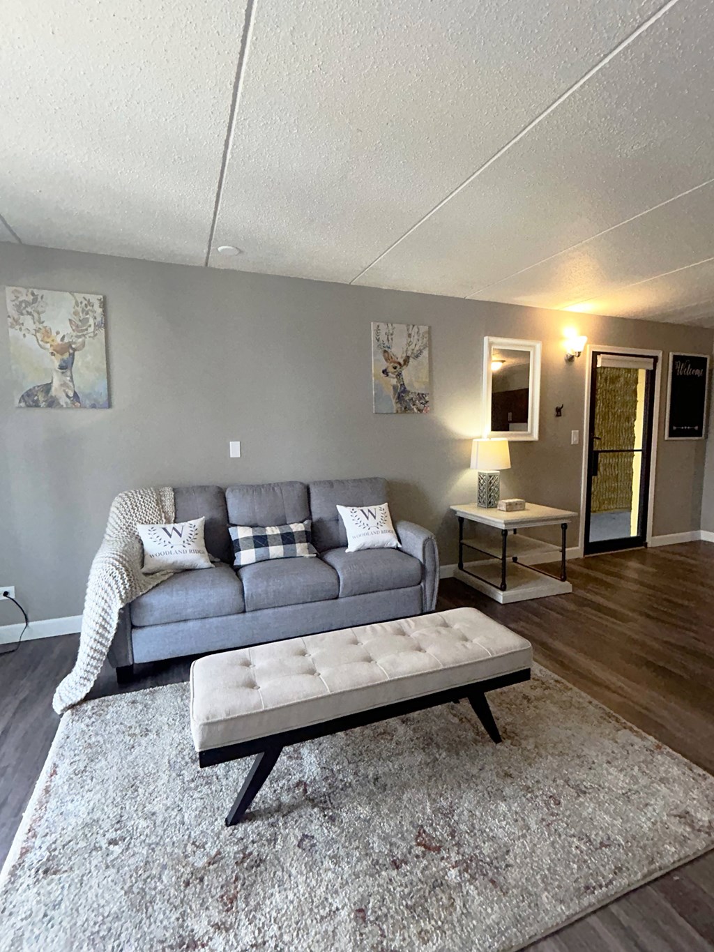 Living Room at Woodland Ridge Apartments in Woodridge IL 60517