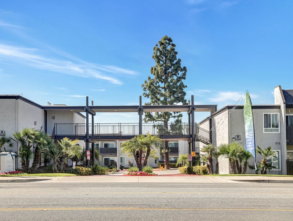 A modern building with a large tree in front and a clear blue sky above.