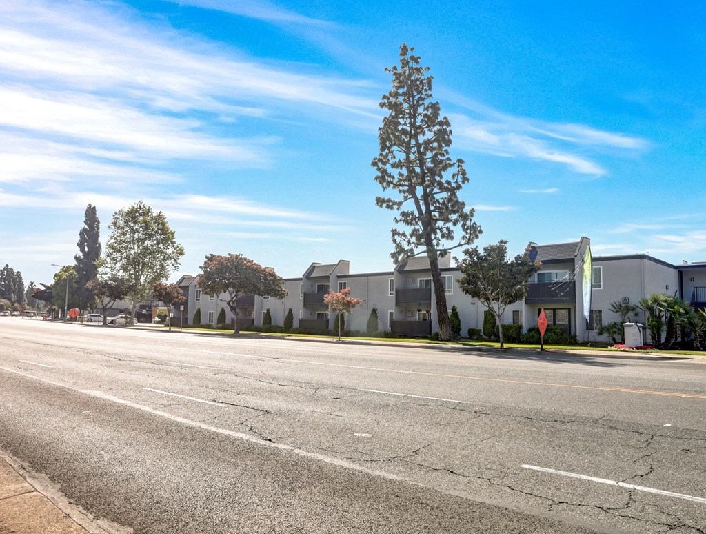 A street with a tree and balconies on the side.