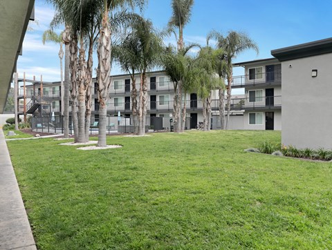 A grassy area in front of a building with palm trees.