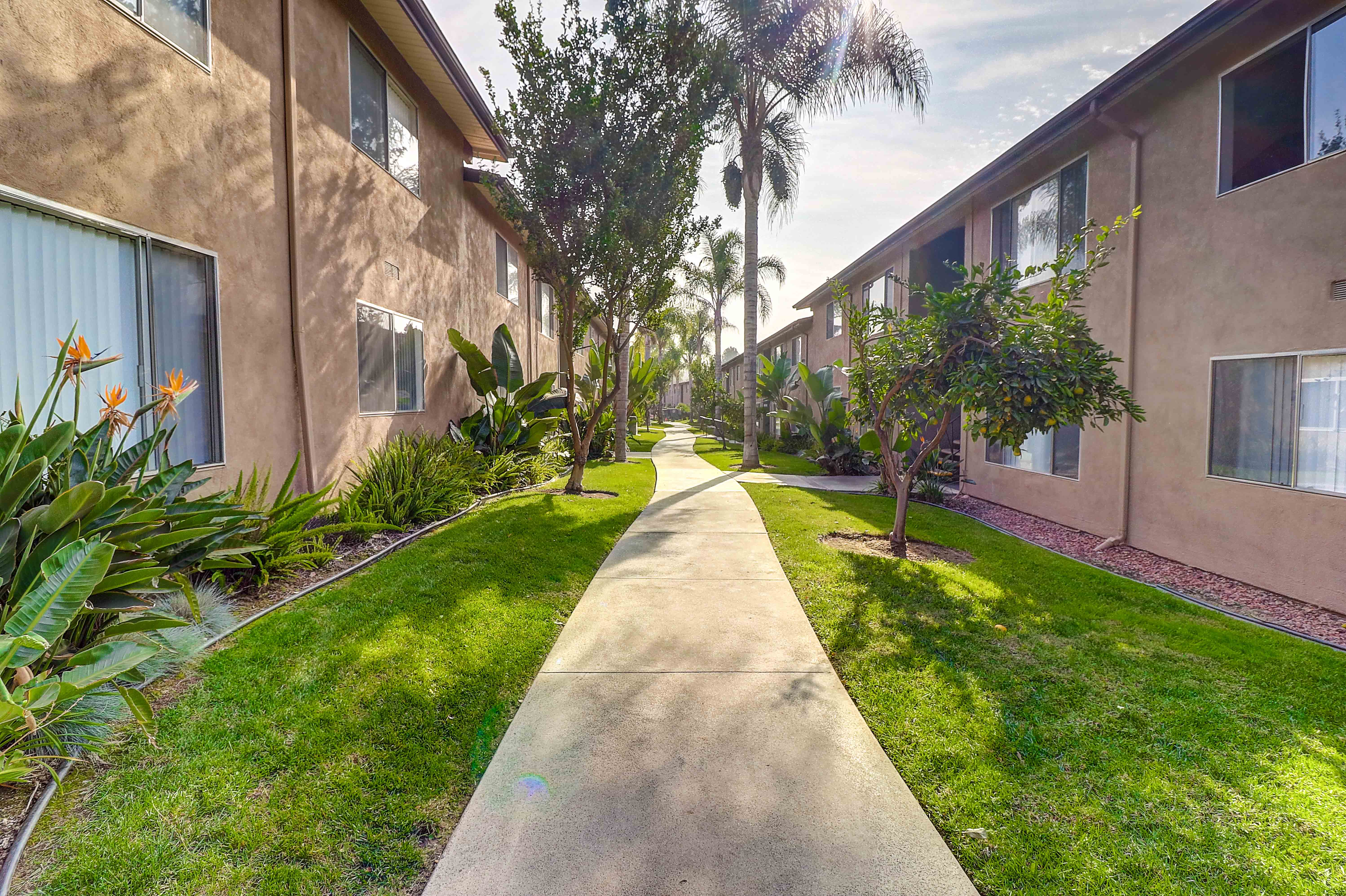 Walkway between buildings in Idylwood