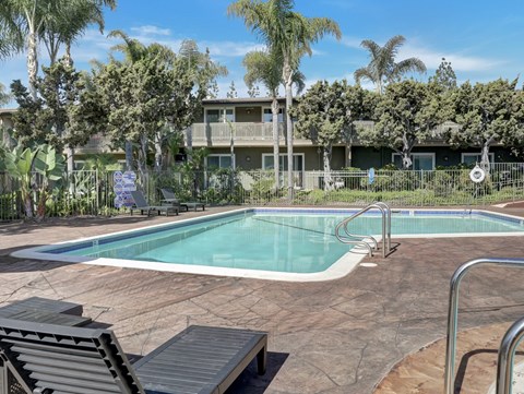 A pool surrounded by palm trees and a building in the background.