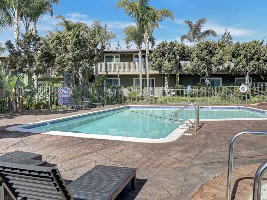 A pool surrounded by palm trees and a building in the background. A pool surrounded by palm trees and a building in the background.