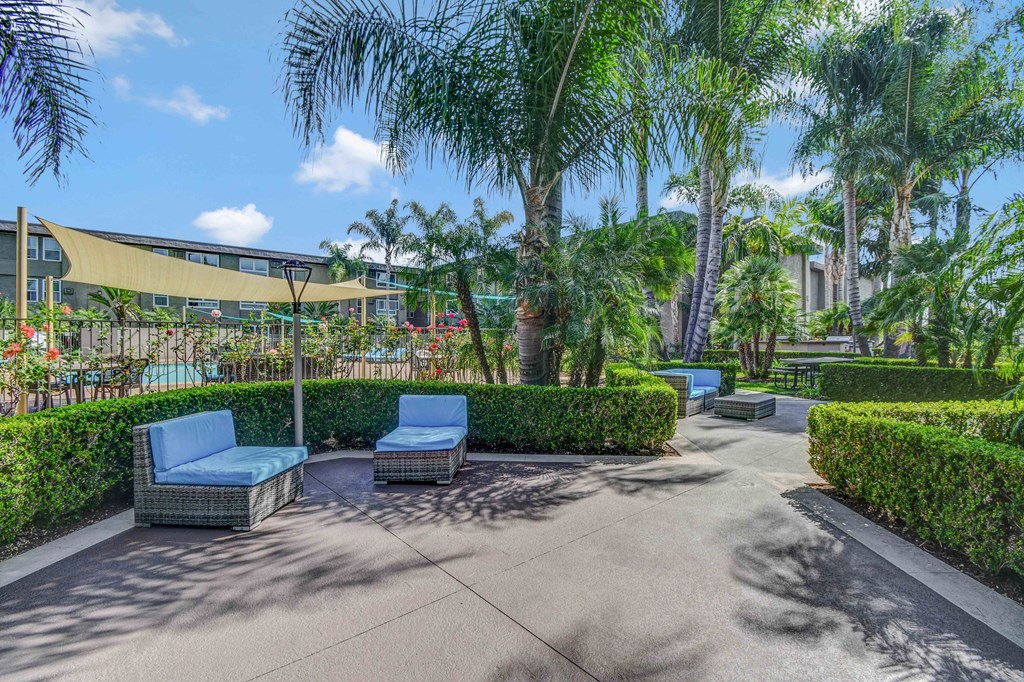 a patio with blue chairs and palm trees
