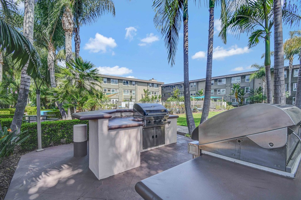 a patio with a barbecue grill and palm trees