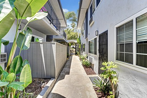 A concrete pathway leads between two rows of plants and a white building with black screen doors.