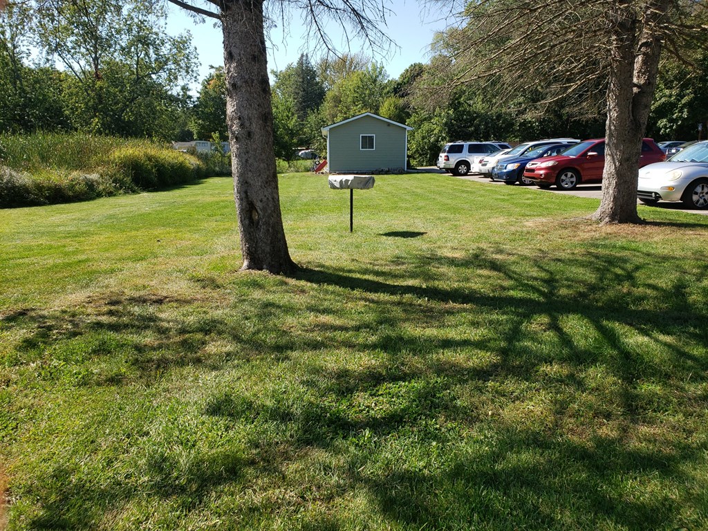 a large grassy area with trees and cars in the background