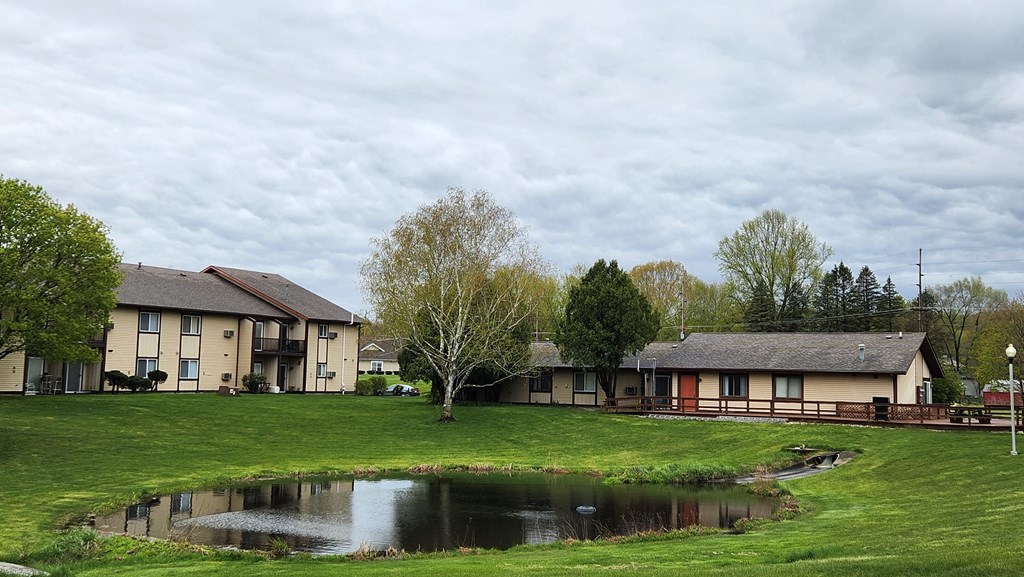 a pond in the middle of a grassy area with houses in the background