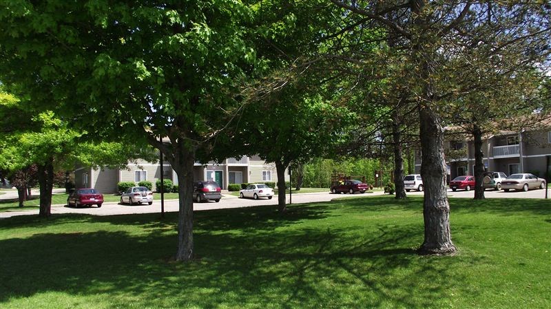 a park with trees and cars parked on the street