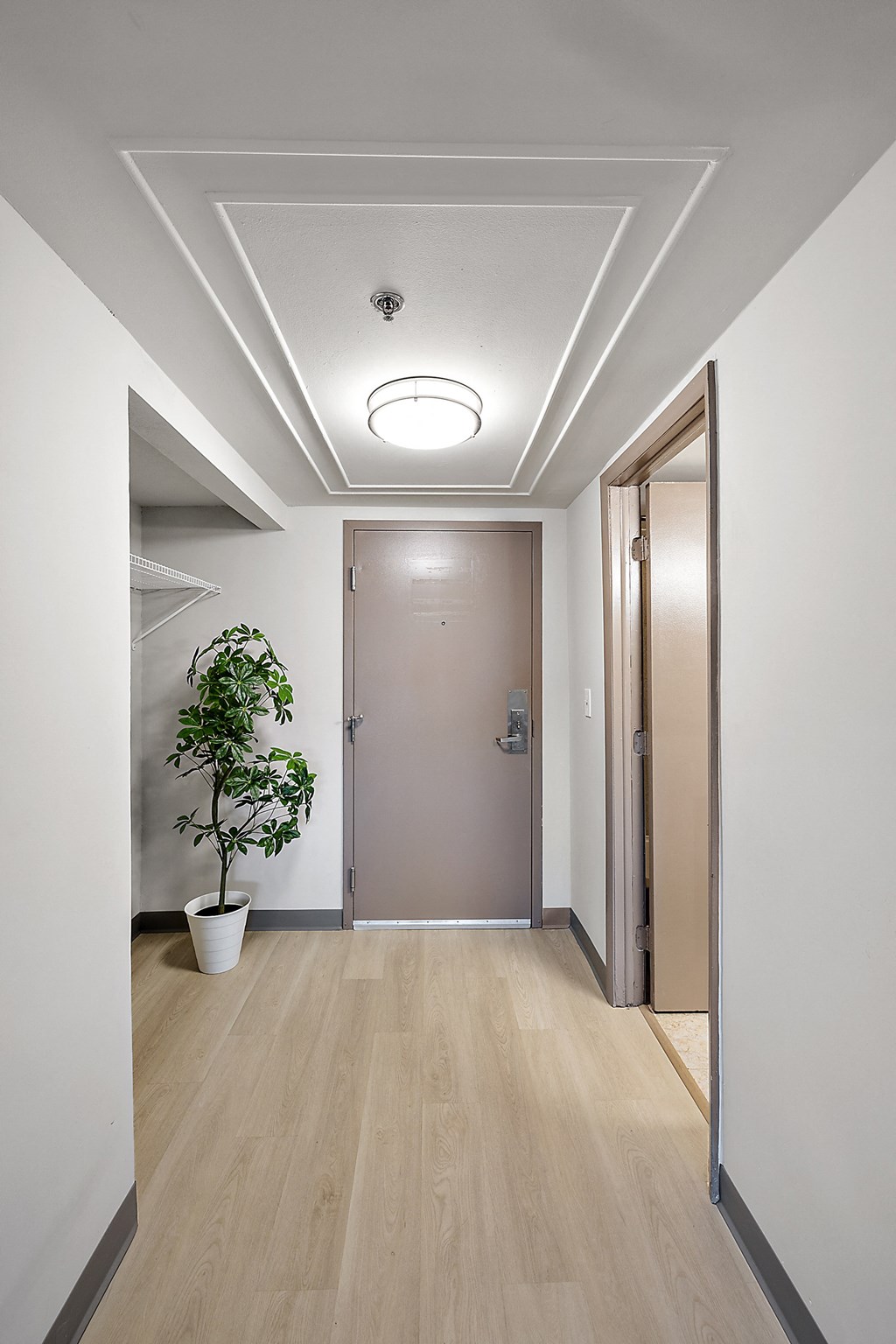 a hallway with white walls and wood floors and a plant