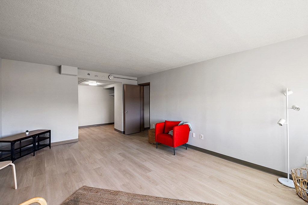the living room and entrance to the apartment