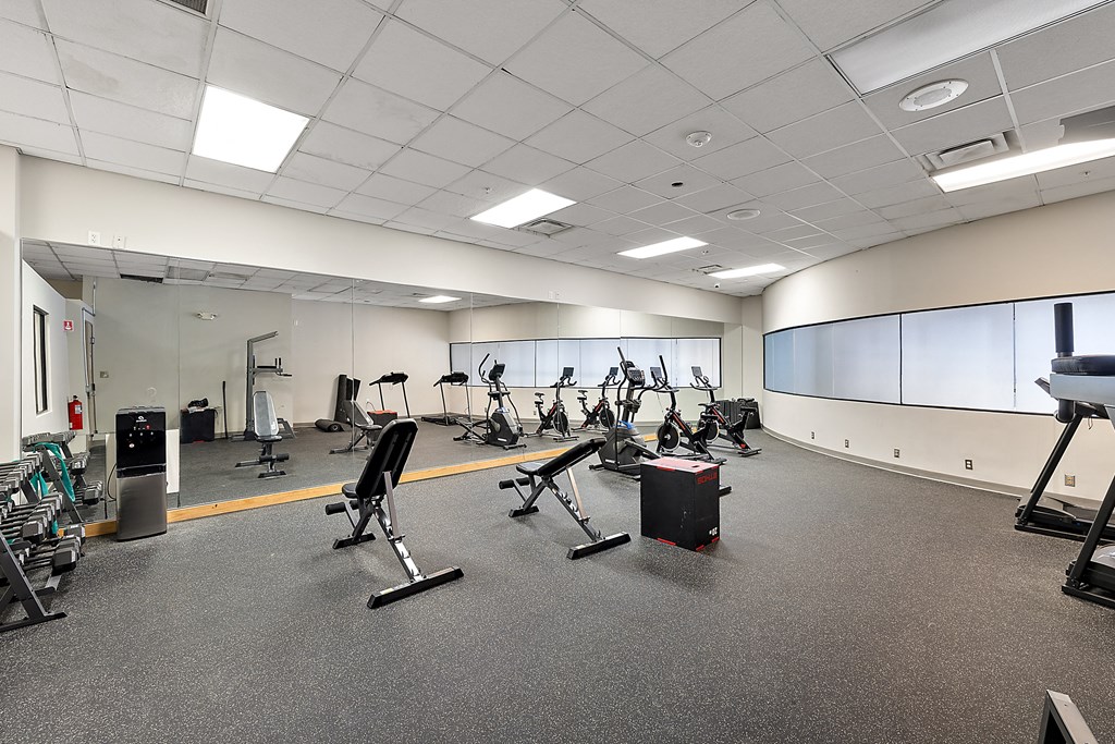 a gym with cardio machines and weights in a large room
