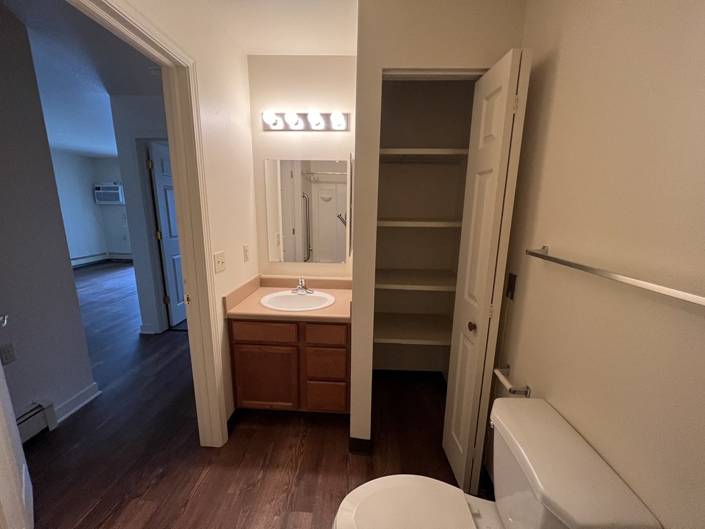 a bathroom with a toilet sink and mirror