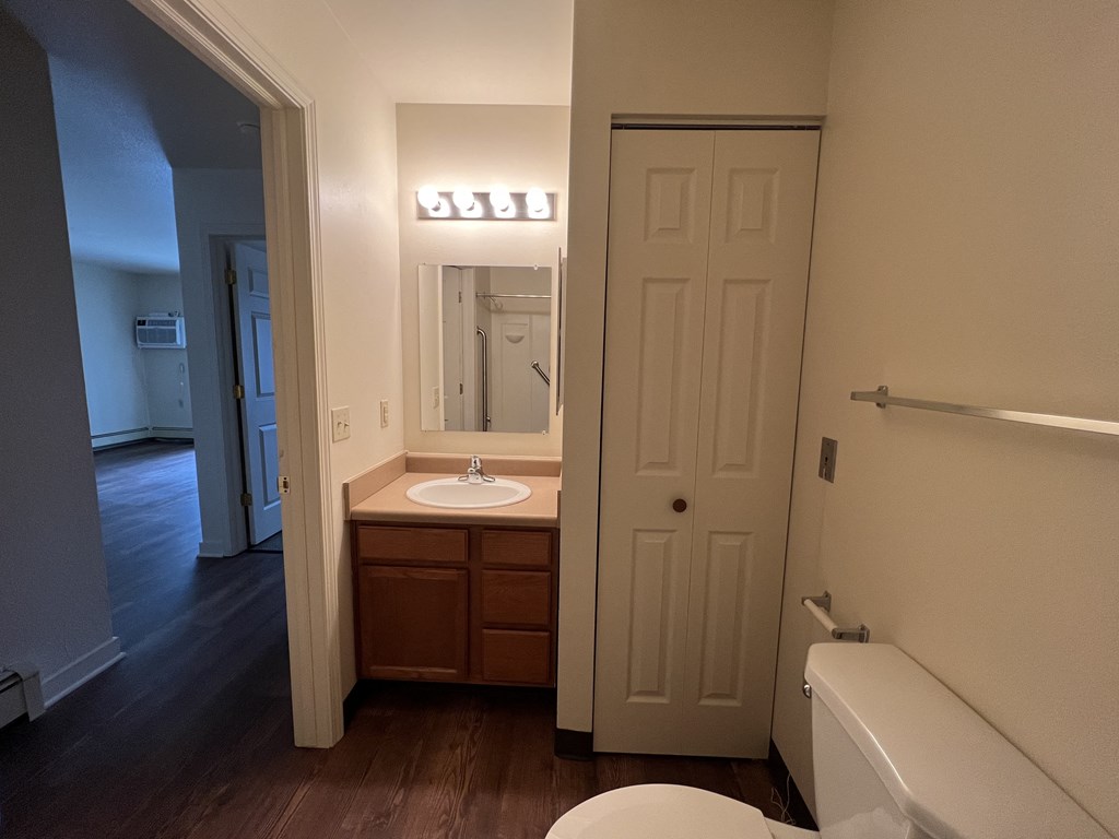 a bathroom with a toilet sink and mirror