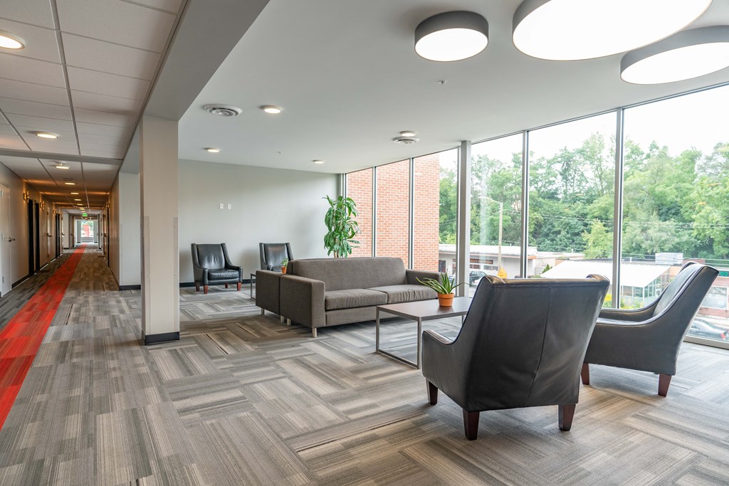 a room with couches chairs and a table with a plant in it