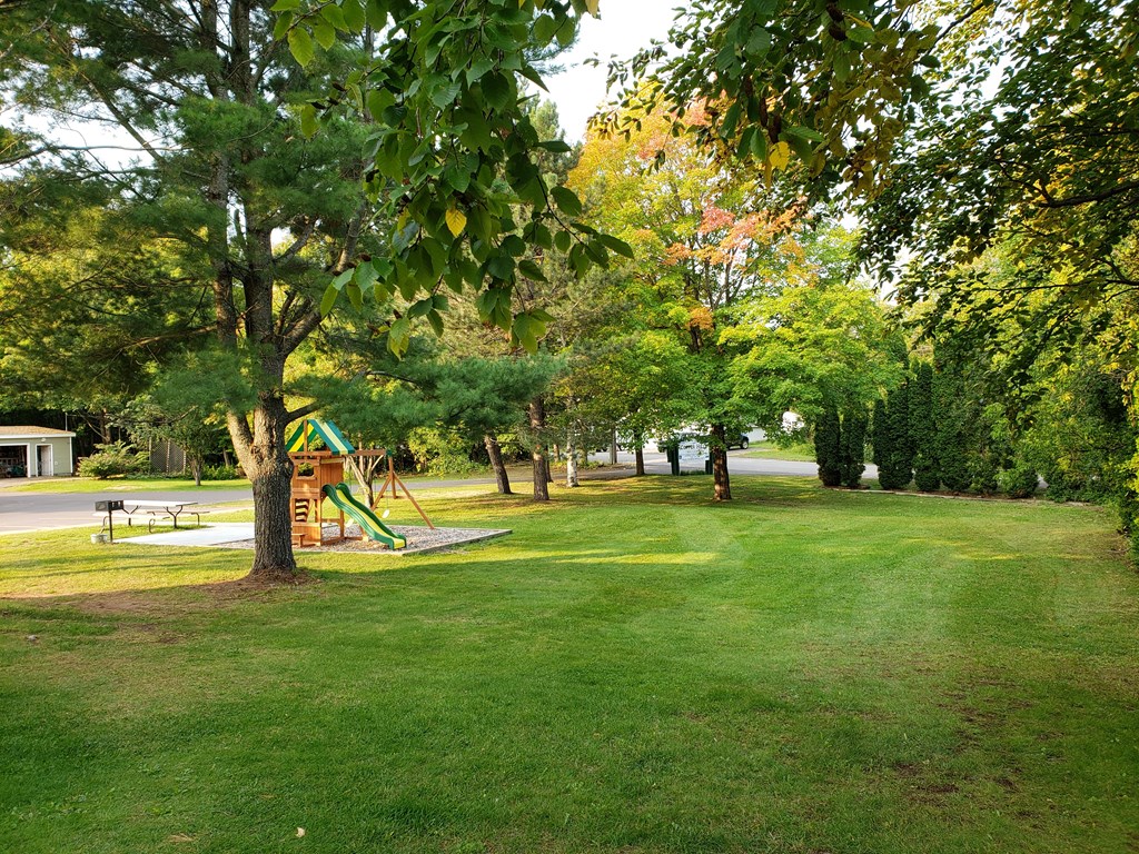 a playground in a park with trees