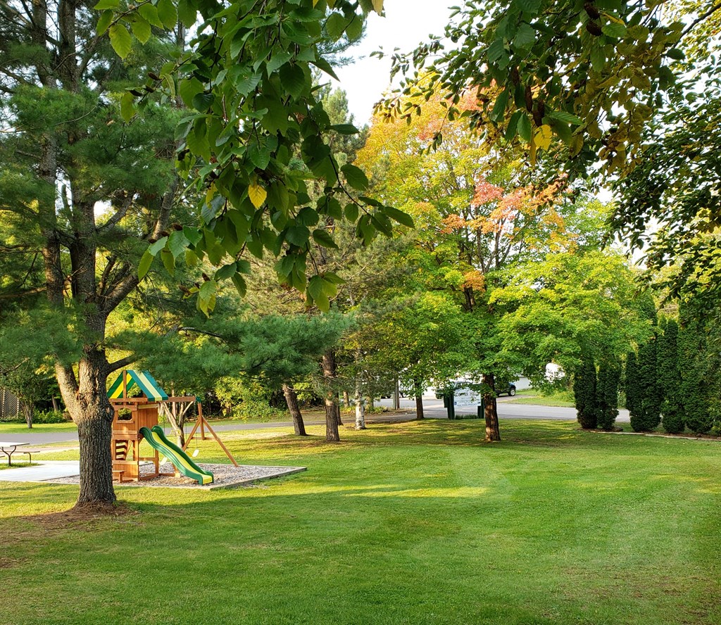 a playground in the middle of a park with trees
